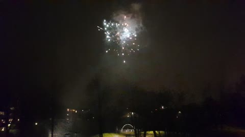 Happy New Year 2021 from Sweden