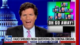 ‘This Is Insane’: Tucker Carlson Calls Out Fauci Over ‘Lies,’ COVID Origins