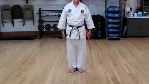 (3) Pinan Nidan Front View (Crop)