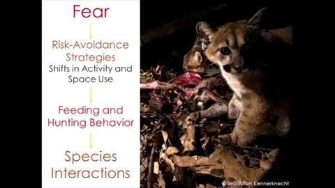 Justine Smith, Environmental Studies: Humans As Top Dog: Ecological Effects of Carnivore Fear