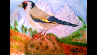 Drawing Bird Colored