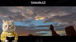 Genesis 1v5 - Sunni Jo The #BibleCat Reading you the Bible from Start to Finish! #Catsof #BibleStudy