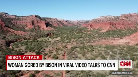 Texas woman gored by bison in viral video
