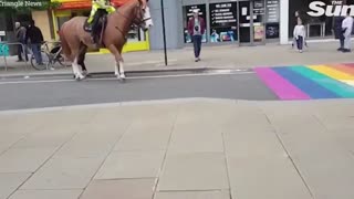 Instinctive, Mounted Police Horse Stops and Refuses to Walk Over Pride Rainbow on the Pavement