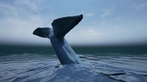 Blue Whale Cinematic