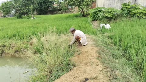 Most Wonderful Traditional Rural Life of India | Old Culture of India | Stunning India