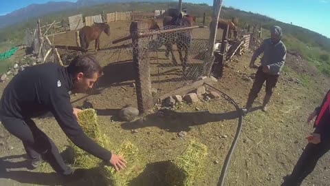 Argentina - Mendoza horseriding