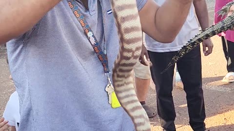 Aaraiz caught the snake