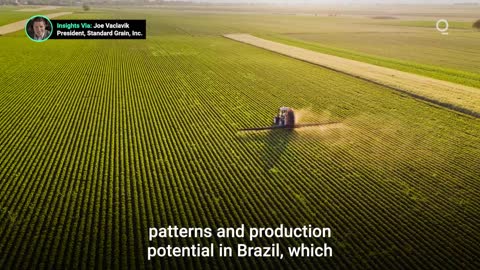 Brazil’s Farmers Set for Corn and Soybean Crop Records