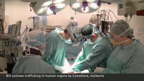 Canada passes anti-organ trafficking law