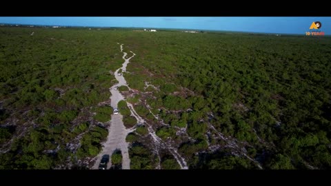 Gorgeous Brazil | Path of Feelings | Cinematic Travel Documentary