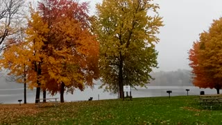 More lake Taghkanic park