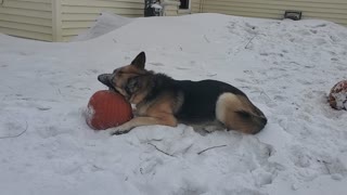 Yogi with his big throbbing pumpkin and frozen blue balls (7 of 8)