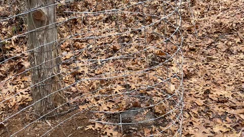 Woven wire fencing starter trick