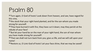 Psalm 80 Daily Devotion