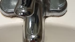 Dillard's Altamonte Springs ladies' restroom faucet