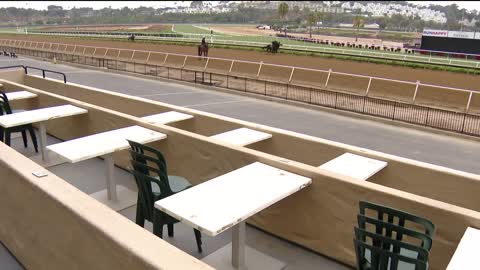 Two horses collapse, die at Del Mar Racetrack on opening weekend