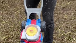 Little Girl Grips Onto Lawnmower Toy Tightly