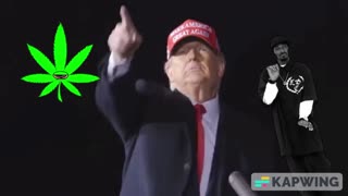 Trump dancing to snoop dogg song