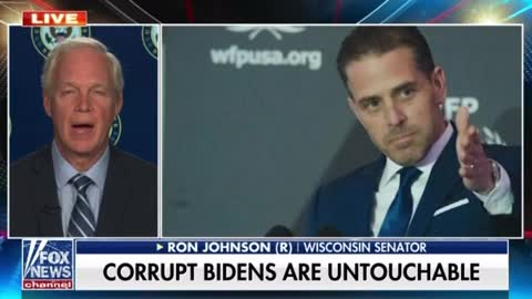 Senator Ron Johnson: Corrupt Biden's are Untouchable