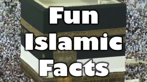 DAVID WOOD - MUHAMMAD WAS A SEX ADDICT (Fun Islamic Fact #8)