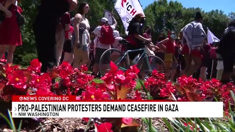 Protesters at White House demand cease-fire as Israel's war on Gaza enters eighth month