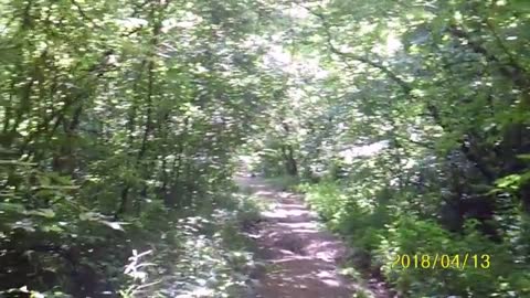 Sandy Creek Covered Bridge with ComputerChick