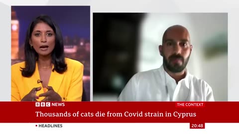 Thousands of cats die from covid strain in Cyprus.