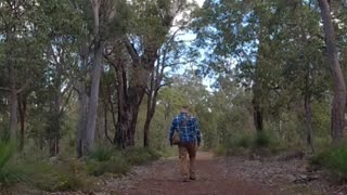 Cockatoo Circuit Too