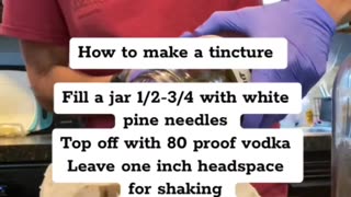 Benefits of white pine needles