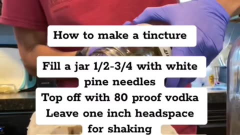 Benefits of white pine needles
