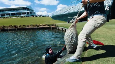 Diving For Golf Balls in America’s Most Famous Water Hazard