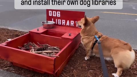 dog library lookin for book on dog training and how to get more treats