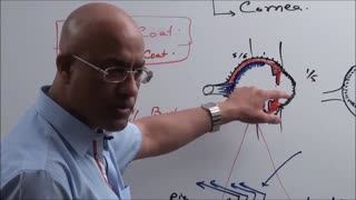 Anatomy of The Human Eye Ball