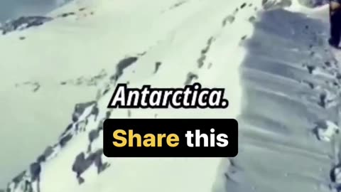 Joe Rogan - Antarctica