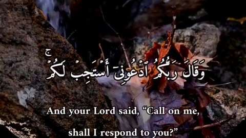 Quraan recitation with English subtitles