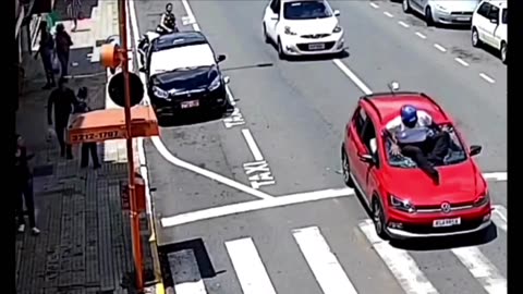 'Smart' Dog Leads to Hilarious Car Accident - You Won't Believe What Happens Next!