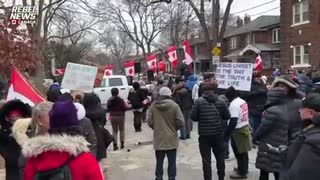 Protests in support of Jordan Peterson