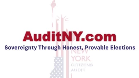 Marly Hornik New York Citizens Audit Director on Big Picture Prime 3-30-2023