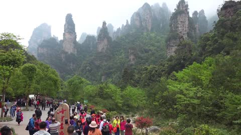 "Avatar" Mountain & Wulingyuan Scenic Area