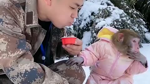 Foodie Friends: A Pet Monkey and Its Owner Enjoying Yummy Momos Together