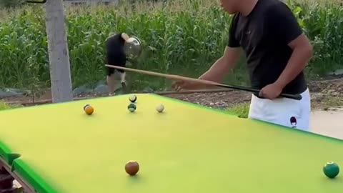 Funny video billiards million views I p337 🎱