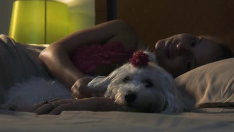 Woman Stroking Dog In Bed Sleeping At Night