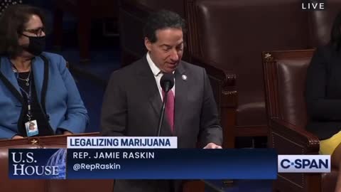 Jamie Raskin on MARIJUANA PROHIBITION laws