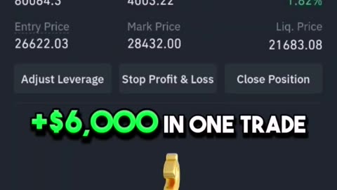 $6000 profit trading binance