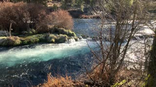 Metolius River's Forking Cascading Waterfalls – Central Oregon