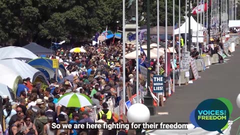 Peaceful Protest in Wellington - Taranaki Family