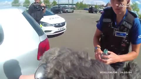 Police rescue dog trapped in car in heat wave by smashing window