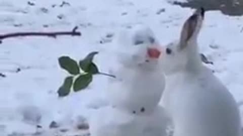 Rabbit meets snowman