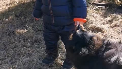 Baby stand with puppies